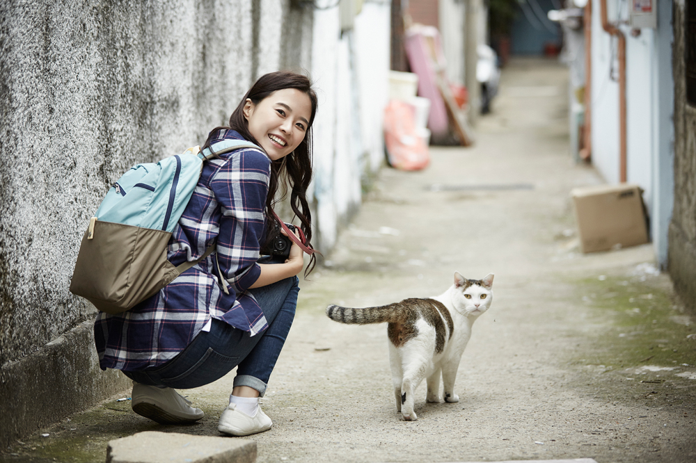 테스트글입니다.